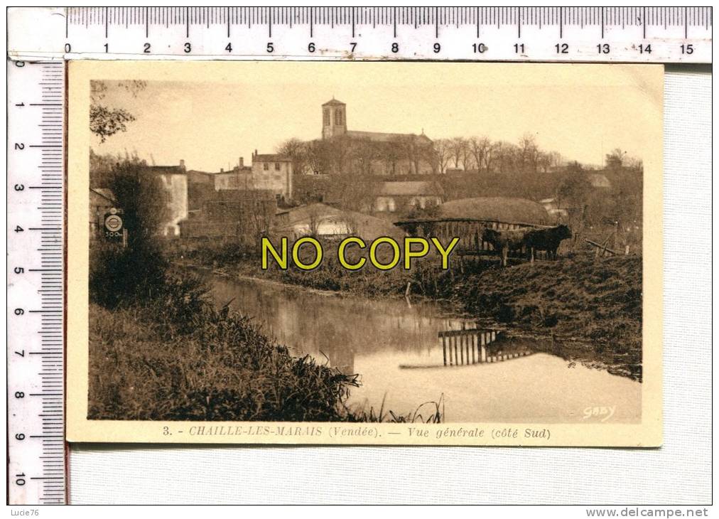 CHAILLE LES MARAIS  -  Vue Générale  Côté Sud - Chaille Les Marais