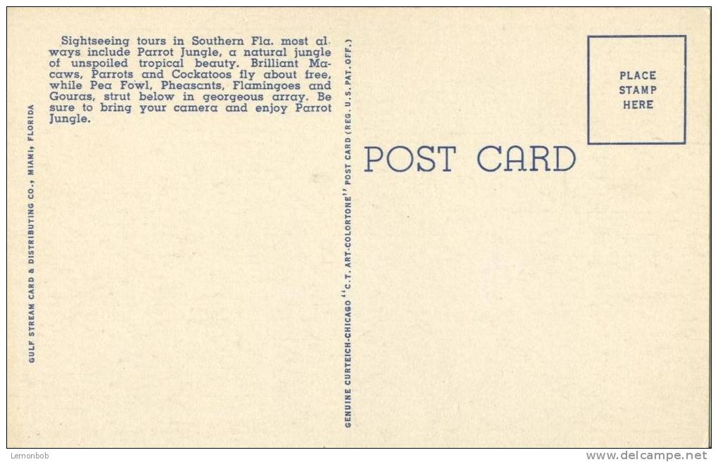 USA – United States – Entrance To The Parrot Jungle, Red Road, Miami, Florida, Unused Linen Postcard [P5726] - Miami