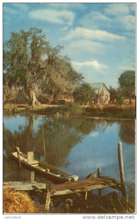 USA – United States – Along The Bayou, Unused Postcard [P5739] - Other & Unclassified