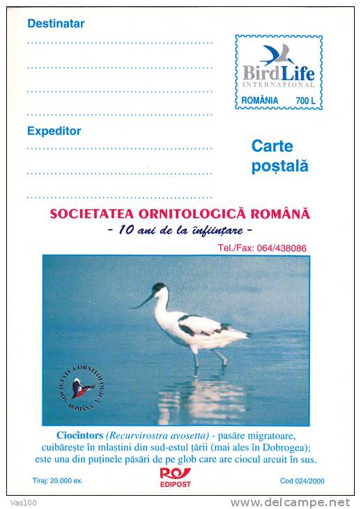 BIRDS FLAMANTS 2000 PC Entier Postal Card,"recurvirostra Avosetta" Unused Romania - Cigognes & échassiers