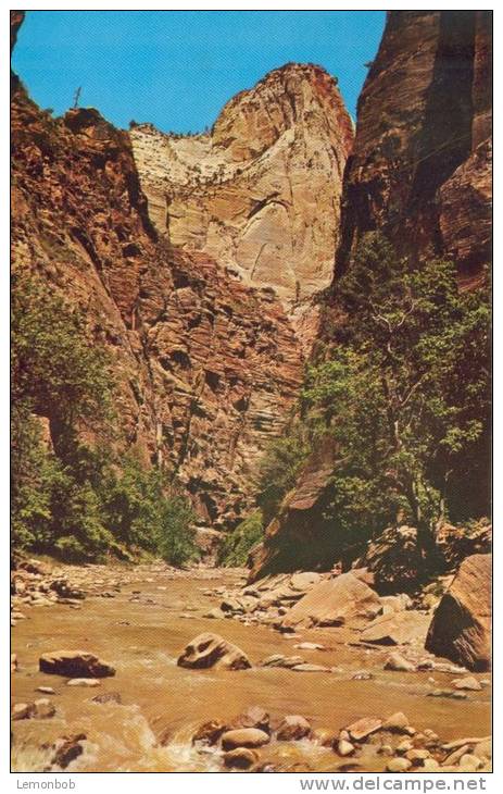 USA – United States – Mystery Mountain, Zion National Park, Utah, Used Postcard [P5752] - Zion