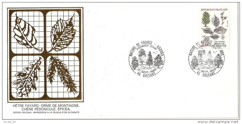 Grande Env Fdc France+feuille D´or,21/9/85 Orléans, N°2385, Flore, Orme De Montagne, Arbre - 1980-1989