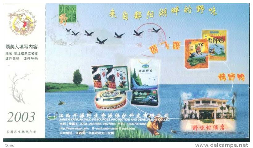 Bird Duck Food   ,   Prepaid Card Postal Stationery - Ducks