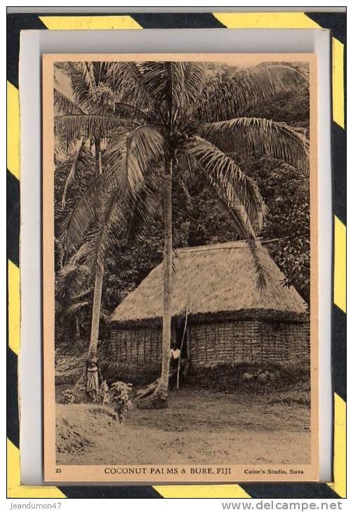 COCONUT PALMS & BURE . NON CIRCULEE - EXCELLENT ETAT - Fiji