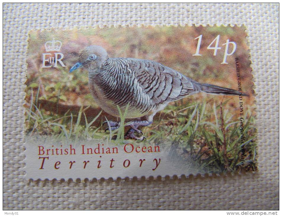 5677 Bird Mer Perdrix Camouflage Prairie Geopella  Oiseau  BIOT Palmier Océan Indien île Bec - Grey Partridge