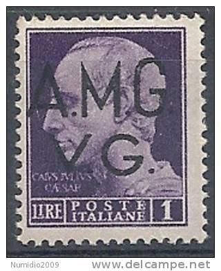 1945-47 TRIESTE AMG VG  IMPERIALE 1 £ MNH ** - RR9073-4 - Nuovi