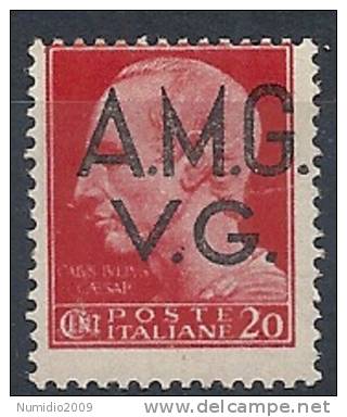 1945-47 TRIESTE AMG VG  IMPERIALE 20 C MNH ** - R9074-4 - Nuovi