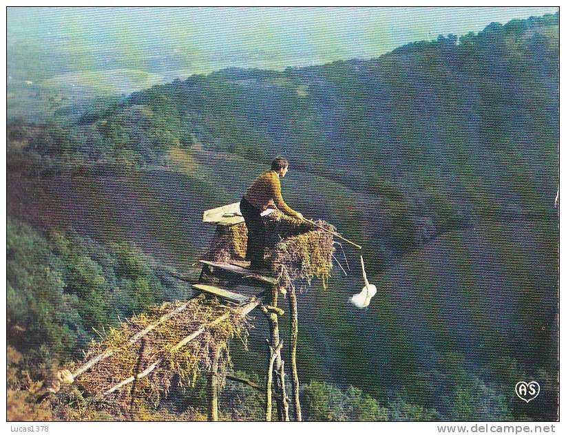 POSTE DE GUET POUR LA CHASSE A LA PALOMBE - Caccia