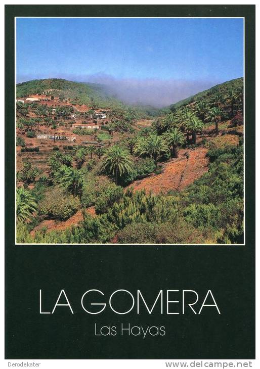 La Gomera. Las Hayas. No.103.Tree. Arbre. Panorama.Spain.  Non écrite. Nice! - Gomera