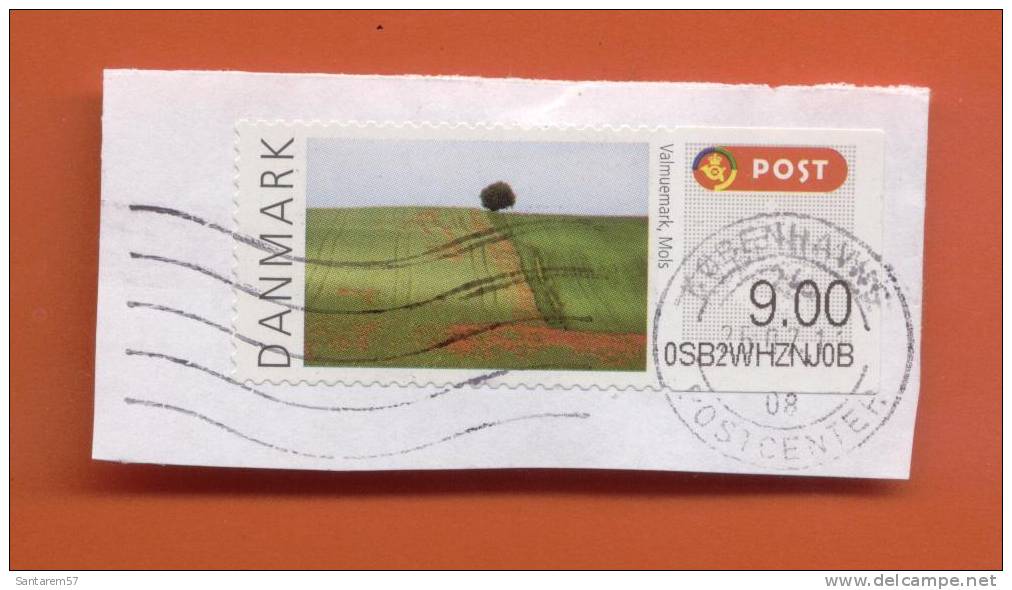 Timbre Oblitéré Used Stamp Selo Carimbado Valmuemark Mols 9.00 DKK DANMARK POST DANEMARK DINAMARCA Sur Fragment - Used Stamps
