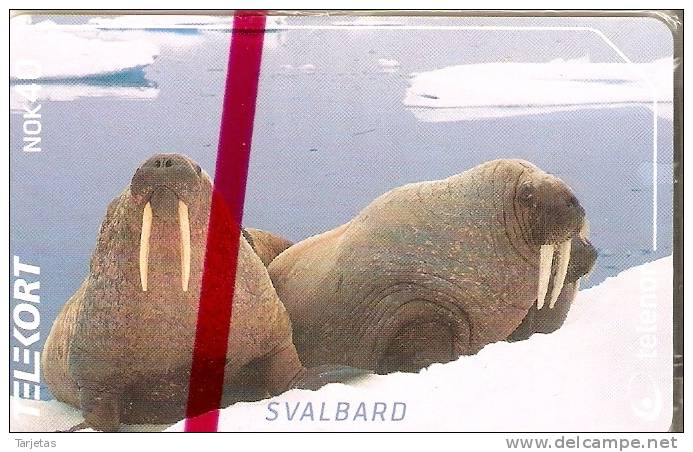 TARJETA DE SVALBARD DE UNAS MORSAS  (SEAL-FOCA)  NUEVA-MINT - Andere & Zonder Classificatie