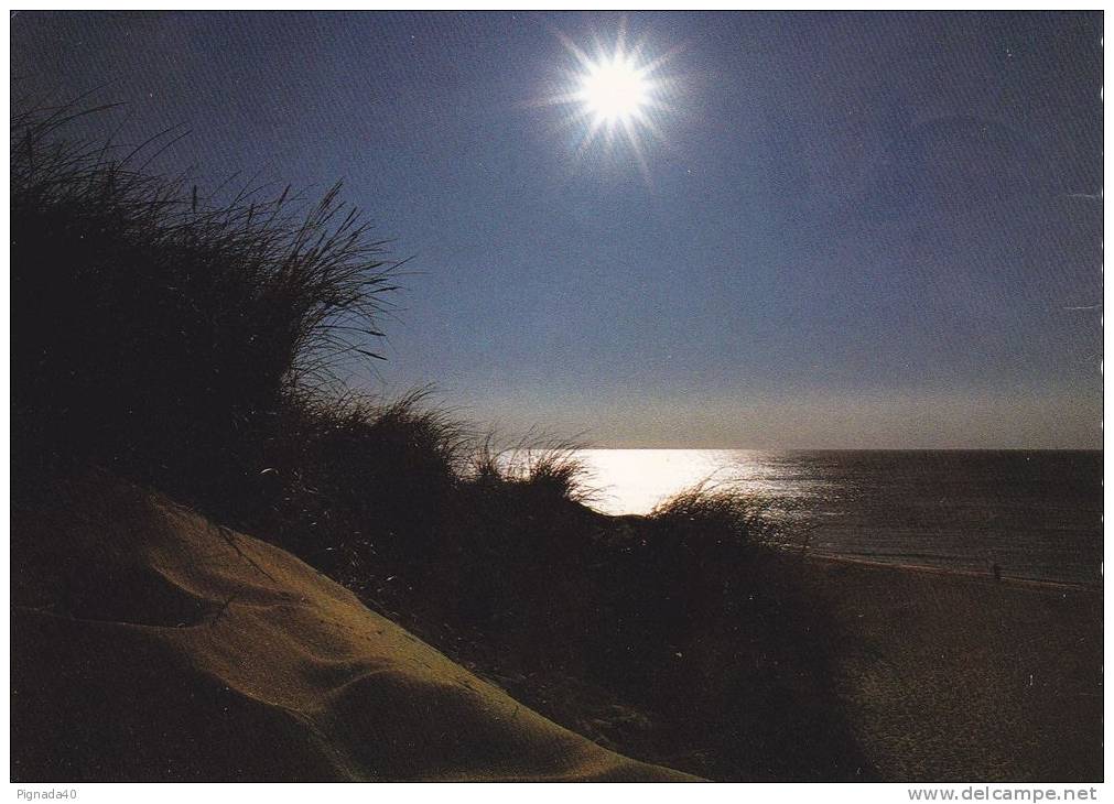 Cp , CONTRE LA LUMIERE , Dünen Im Gegenlicht An Der Nordsee - Contre La Lumière