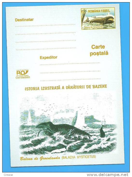 Whaling History, Stamp Printing, The Greenland Whale. ROMANIA Postal Stationery Postcard 2003 - Wale