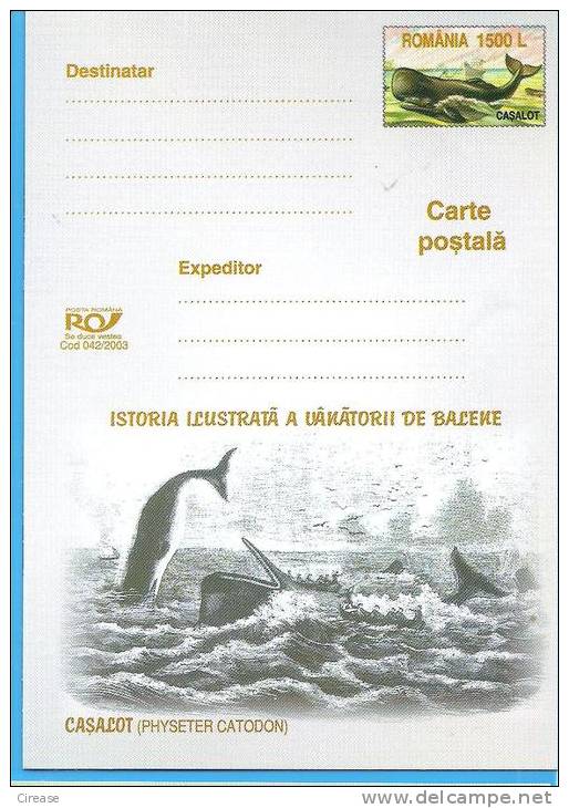 Whaling History, Stamp Printing, Sperm Whale ROMANIA Postal Stationery Postcard 2003 - Wale