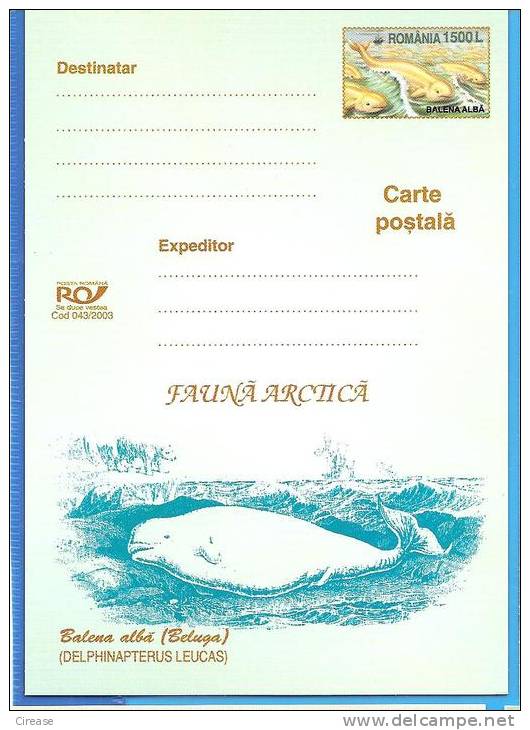 Arctic Fauna, White Whale ROMANIA Postal Stationery Postcard 2003 - Wale