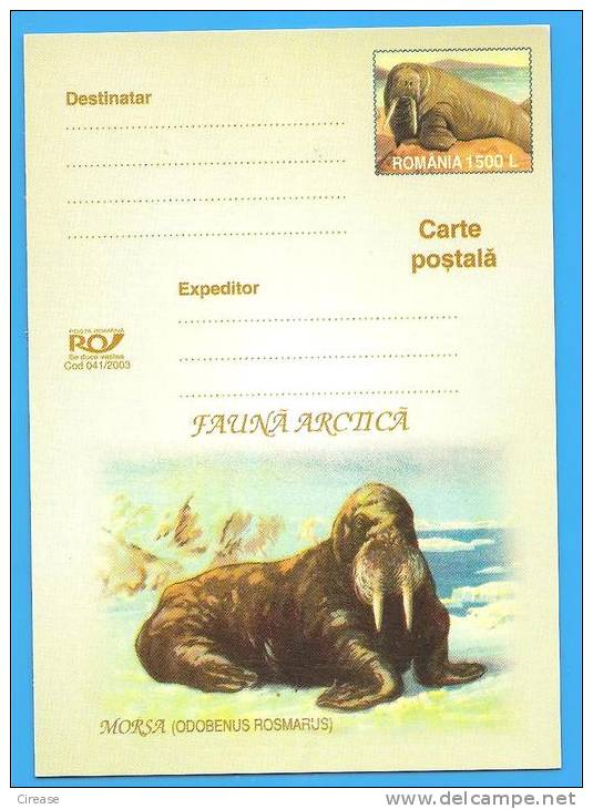 Fauna Arctic Walrus ROMANIA Postal Stationery Postcard 2003 - Wale