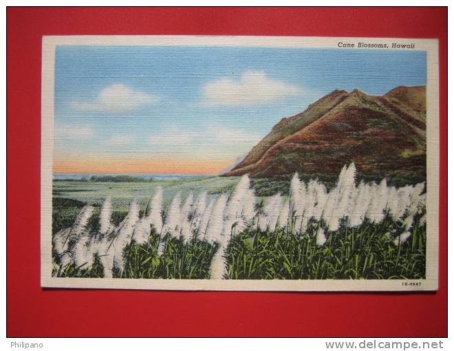 HI - Hawaii > Cane Blossoms   Vintage Wb ---   ===  --- Ref 259 - Other & Unclassified