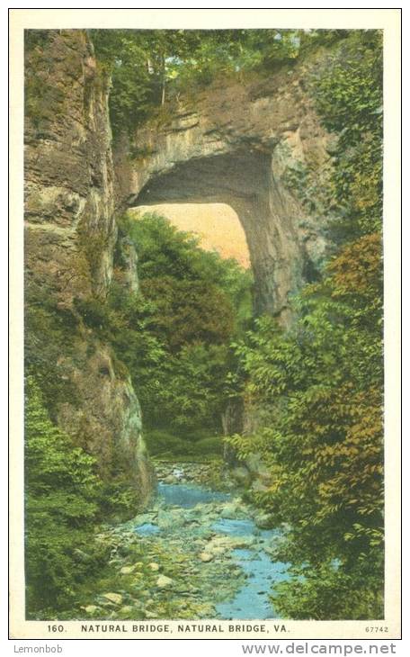 USA – United States – Natural Bridge, VA, 1920s Unused Postcard [P5789] - Other & Unclassified