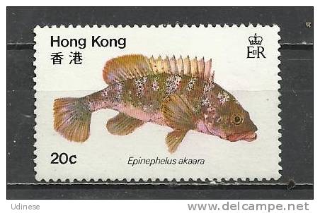HONG KONG 1981 - FISH 20  - USED OBLIITERE GESTEMPELT - Gebruikt