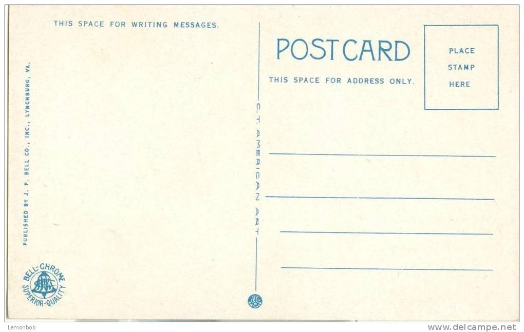 USA – United States – Natural Bridge, VA, 1920s Unused Postcard [P5800] - Other & Unclassified