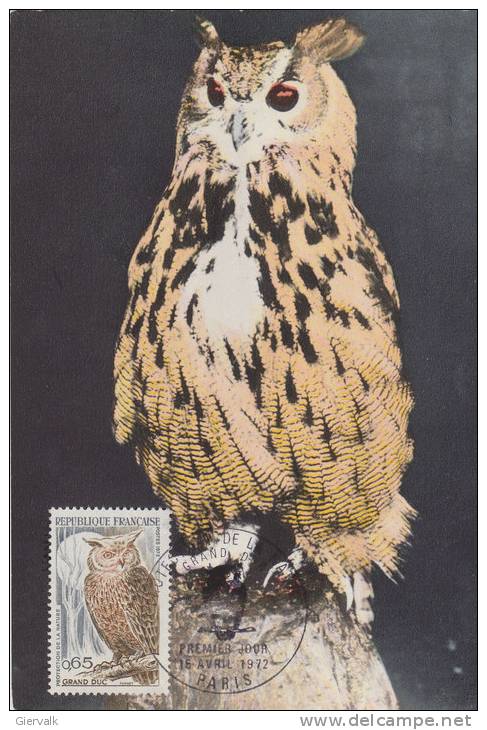 FRANCE 1972 Max Card With Owl - Gufi E Civette