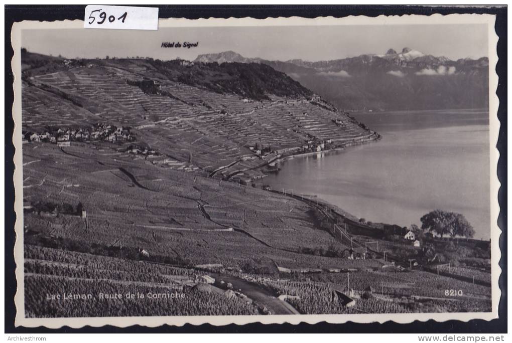 Route De La Corniche, Epesses Et Le Lac Vers 1950 (5901) - Épesses