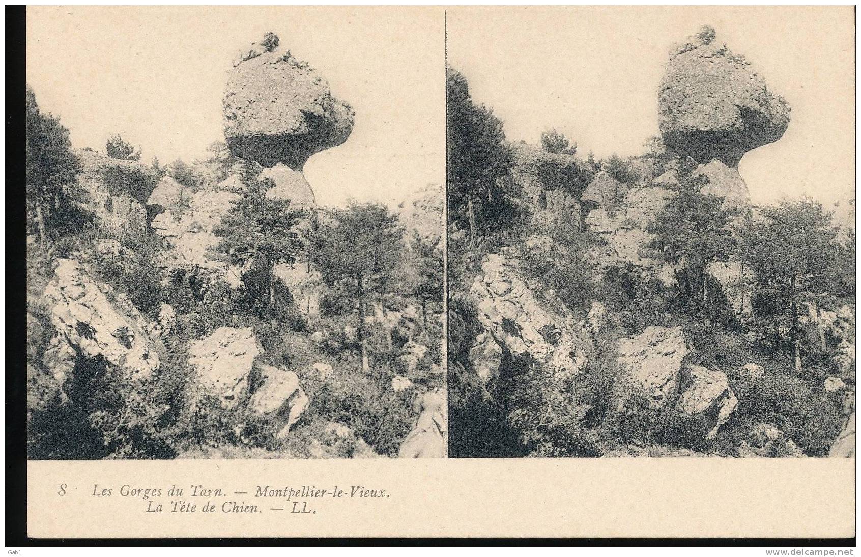 Les Gorges Du Tarn --- Montpellier - Le - Vieux --- La Tete De Chien - Stereoscope Cards