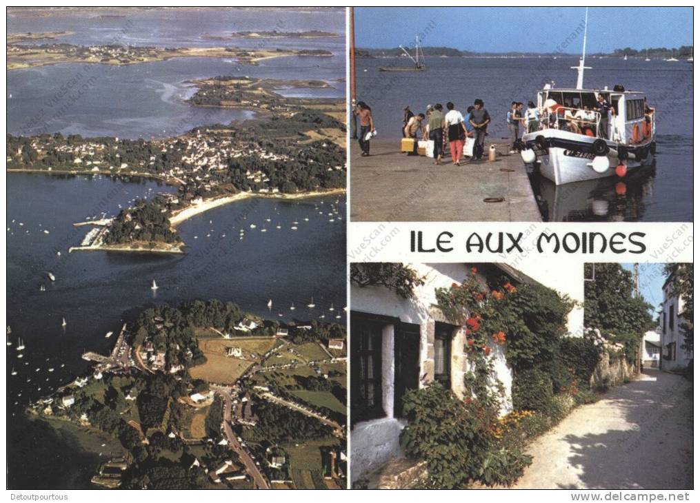 L'ILE AUX MOINES Morbihan 56 : Passage Entre L'ile Et Port Blanc Débarcadère Rue Fleurie Du Centre - Ile Aux Moines