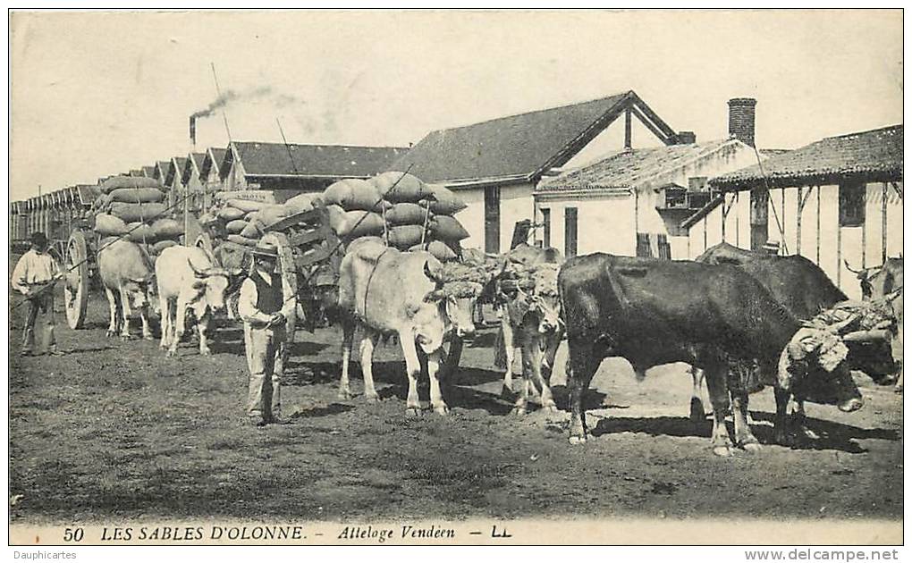 Les Sables D´Olonne : Attelage Vendéen. Boeufs. 2 Scans. Edition Lévy - Sables D'Olonne