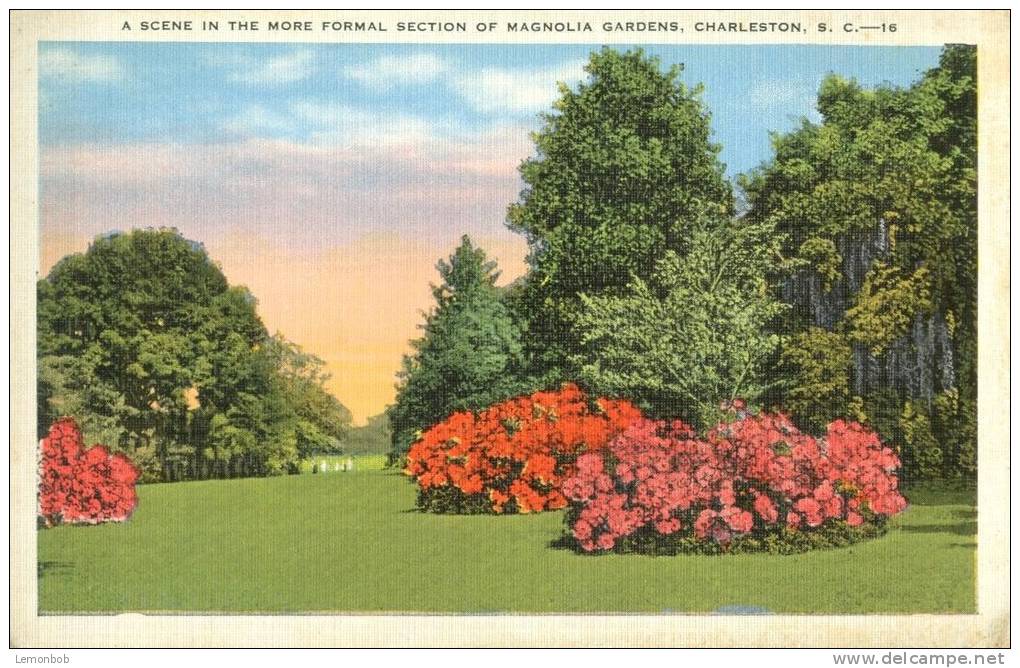 USA – United States – A Scene In The More Formal Section Of Magnolia Gardens, Charleston, SC, 1920s Postcard[P5869] - Charleston