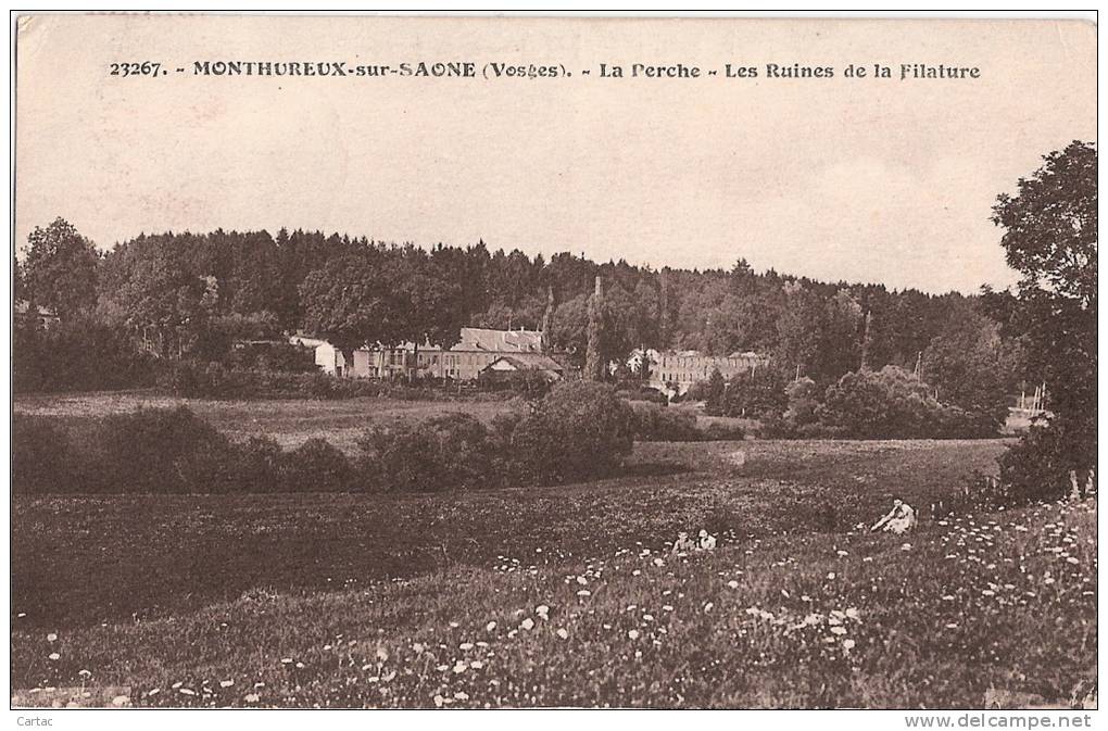 D88 - MONTHUREUX SUR SAONE - LA PERCHE - LES RUINES DE LA FILATURE Légers Plis Dans Les Coins Voir Scan - Monthureux Sur Saone