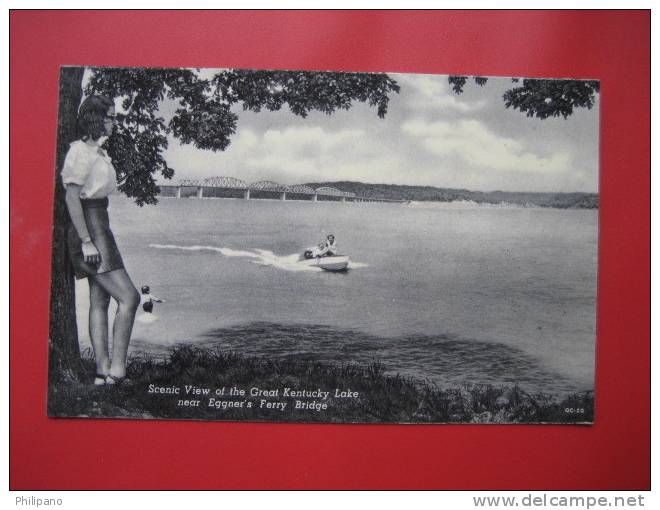 Kentucky >   Scene  Of Kentucky Lake Near Eggner's Ferry         === Ref 263 - Autres & Non Classés