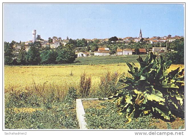 47. Cpsm. Gf. LAROQUE-TIMBAUT. Vue Générale. 7 - Laroque Timbault