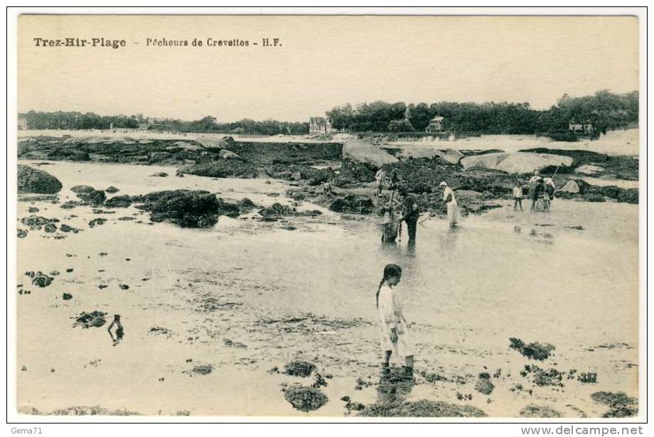 1948-29 - TREZ HIR PLAGE  - Pêcheurs De Crevettes - - Autres & Non Classés