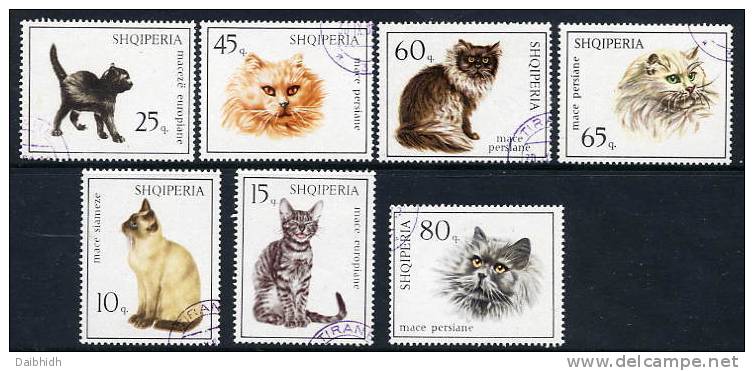 ALBANIA 1966 Cats Set Used Michel 1091-97 - Chats Domestiques