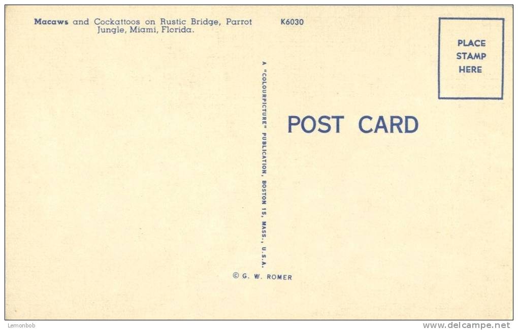 USA – United States - Parrot Jungle, Miami, Florida, Unused Linen Postcard [P5927] - Miami