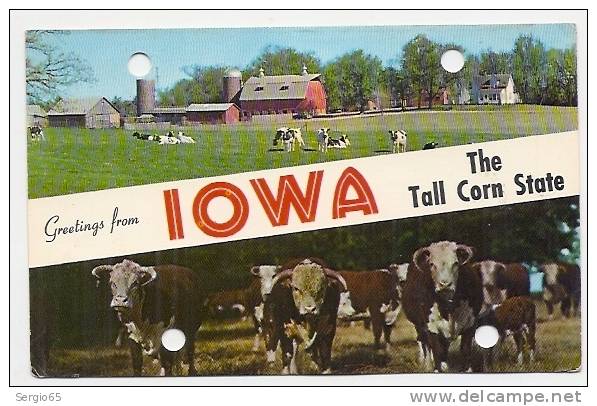 IOWA-GREETINGS- Not Traveled - Other & Unclassified