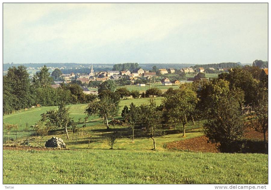 Mettet  - Panorama ... De La Localité - Mettet