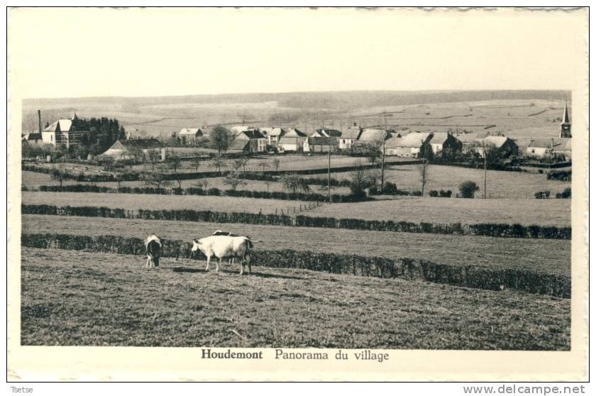 Houdemont - Panorama Du Village - Habay