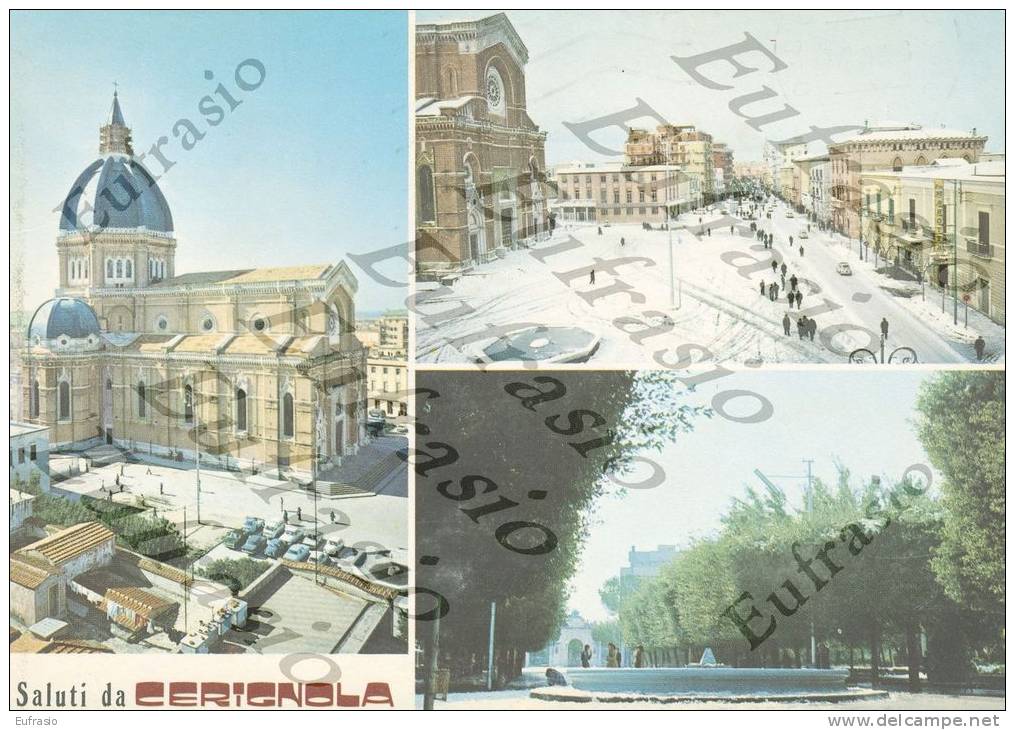 Saluti Da CERIGNOLA Foggia FGVG99 - Cerignola