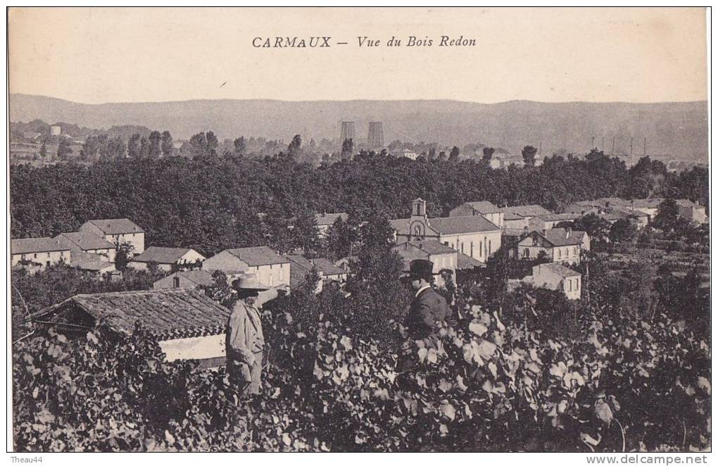 ¤¤  -    CARMAUX   -  Vue Du Bois Redon   -   Vignes   -  ¤¤ - Carmaux