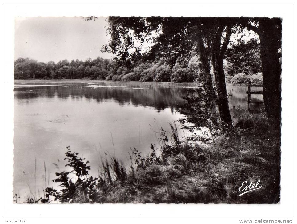 MONTMIRAIL : "Etang De Rougefosses" - Montmirail