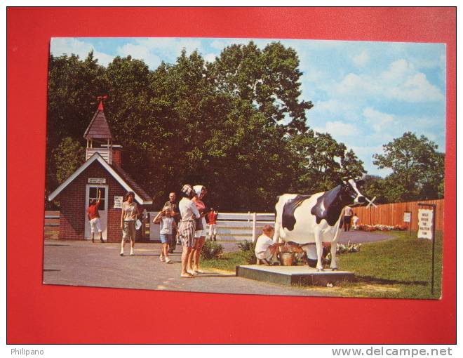 - Pennsylvania > Lancaster --- Dutch Wonderland --Boy Milking A Cow  -----Early Chrome      --  ======= Ref 266 - Lancaster