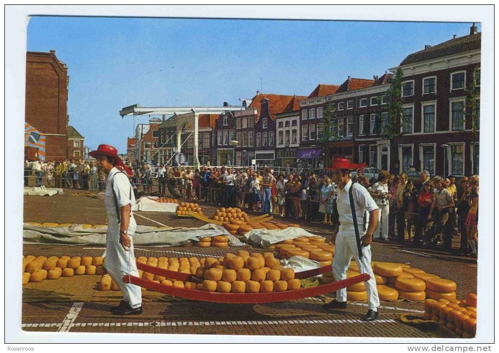 CP ALKMAAR PAYS BAS - KAASMARKT MARCHE AUX FROMAGES - Alkmaar