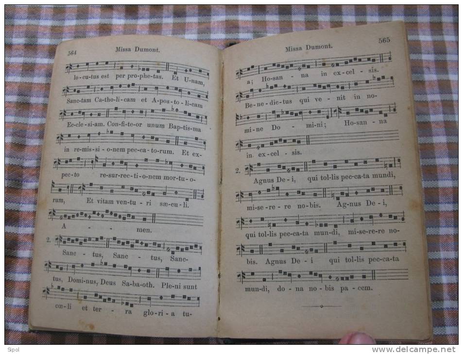 Der Kleine Römische Choralsänger Ranspach/Wesserling Selbstverlag Des Verssassers 1881 - Cristianismo