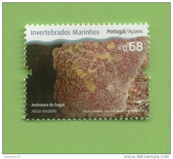 Timbre Neuf New Stamp Selo With Fresh Gum Invertebrados Marinhos Açores Anémona Bagas 0.68 Alicia Mirabilis PORTUGAL - Ongebruikt