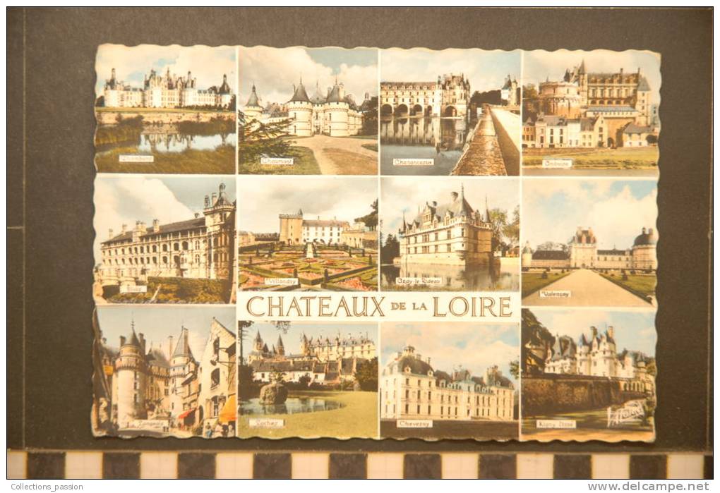 CHATEAUX DE LA LOIRE LES MERVEILLES DE LA LOIRE SES CHATEAUX - L'Île-Bouchard