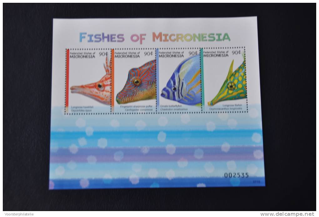 M ++ MICRONESIE 2011 FISHES VISSEN POISSON MNH ** - Micronesië