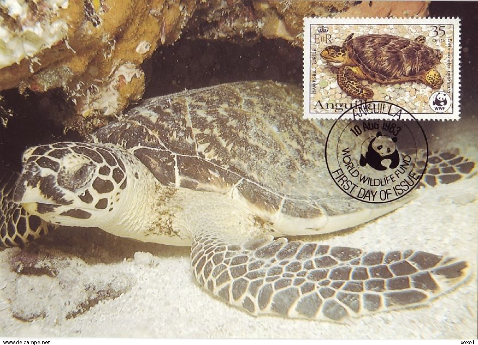 Anguilla 1983 MiNr. 541 - 544 Marine Life WWF Reptiles Turtles 4v MC  50,00 € - Schildpadden