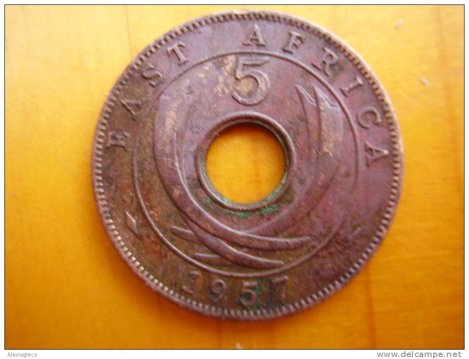 BRITISH EAST AFRICA USED FIVE CENT COIN BRONZE Of 1957 ´KN´ - Colonie Britannique